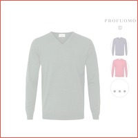 Profuomo pullover V-hals