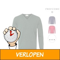 Profuomo pullover V-hals