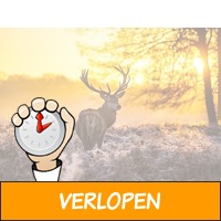 Weekend/midweek Veluwe (6-pers.)