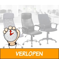 Luxe ergonomische bureaustoel