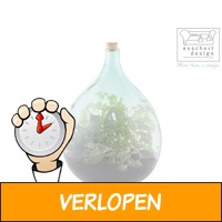 Esschert Design Terrarium fles set