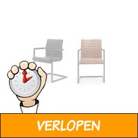 Set van 2 industriele stoelen