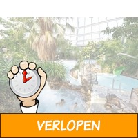 Verblijf 4, 5 of 8 dagen in Center Parcs Heijderbos Lim..