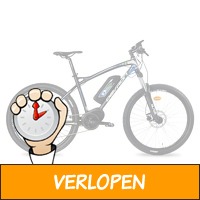 Devron E-Bike Vigo