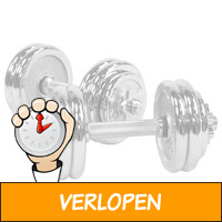 Dumbellset 30 kg chroom