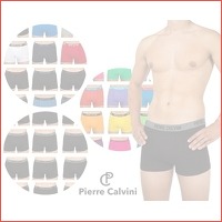 6 of 12 x Pierre Calvini boxershort