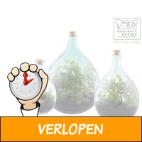 Esschert Design terrarium fles set