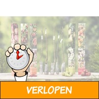 Fruitbomen Mix set van 5