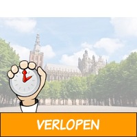 3 dagen Den Bosch