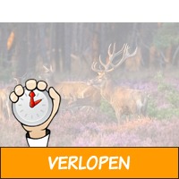 Krantaanbieding! 4 dagen Veluwe