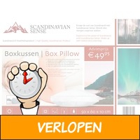 Scandinavian Sense boxkussen