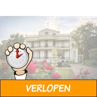 4-sterren Kasteel op de Veluwe