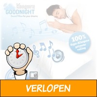 Relaxte Soundpillow