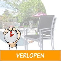 Set van 2 aluminium tuinstoelen