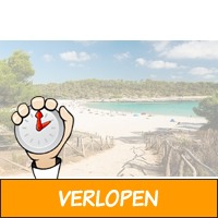 Voordelig naar Mallorca