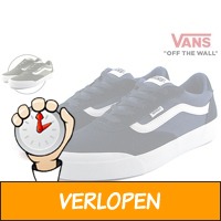 Vans Palomar sneakers