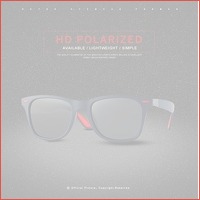 Zonnebril polarized