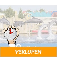 Entreeticket Dolfinarium