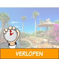 4-sterrenhotel op Fuerteventura