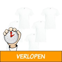 Fruit of the Loom T-shirt met V-hals