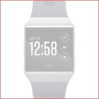 Fitbit Ionic Blue Gray & Silver Gray