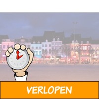 3 dagen Maastricht 4*