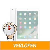 iPad 2017 WiFi 128GB zilver