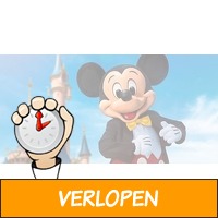 Een dagje Disneyland Parijs inclusief retourvervoer