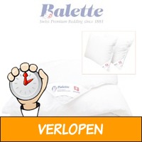 Balette donzen 4-seizoenendekbed