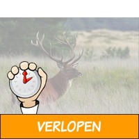 Weekendje weg nabij Arnhem en de Hoge Veluwe