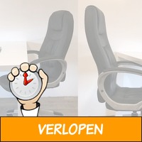 Director bureaustoelen