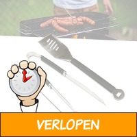 Design RVS BBQ set