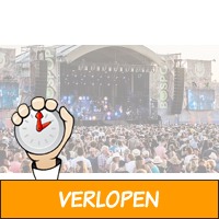 Ticket Bospop festival