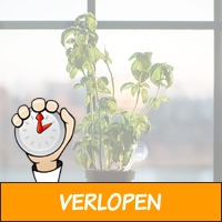 Zelf-watergevende plantenvoeder