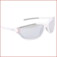 WOW! Shimano Sunglasses Yasei