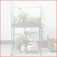 Urban greenhouse