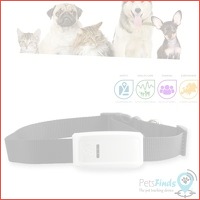 GpsBird PetsFinds GPS tracker voor honde..