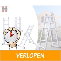 Herzberg multifunctionele ladder