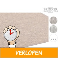 Brinker vloerkleed Dynamo Feston