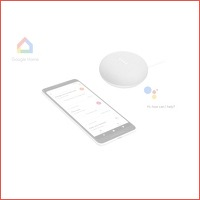 Google home mini