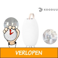 Kooduu Synergy 35 Bluetoothspeaker