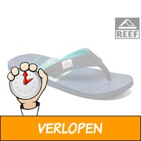 Reef HT Prints slippers