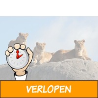 Veiling: Tickets voor Wildlands in Emmen