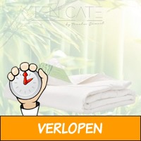 Ten Cate bamboe zomerdekbedden