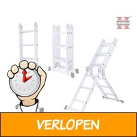 Herzberg multifunctionele ladder