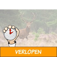 3 dagen op de Veluwe