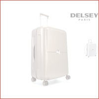 Delsey Turenne trolley