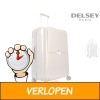 Delsey Turenne trolley