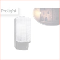 Prolight buitenlamp LED met dag/nacht se..