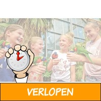 Ontdek een wereld aan vogels in vogelpark Avifauna